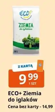 E.Leclerc Eco+ Ziemia do iglaków oferta
