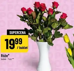 Polomarket Róże oferta
