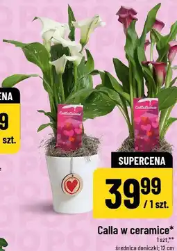 Polomarket Calla w ceramice oferta