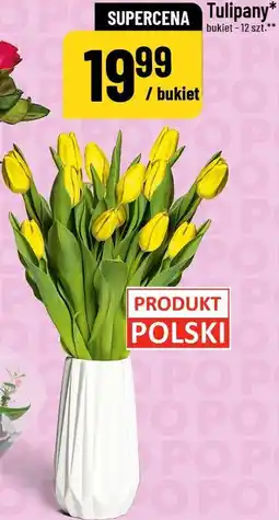 Polomarket Tulipany oferta