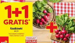 Polomarket Rzodkiewki pęczek oferta