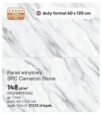 Castorama Panel winylowy SPC Cameron Stone gr. 7mm wym. 60x120cm oferta