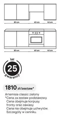 Castorama Zestaw podstawowy Artemisia classic zielony oferta