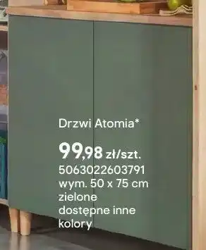 Castorama Drzwi Atomia wym. 50x75cm zielone oferta