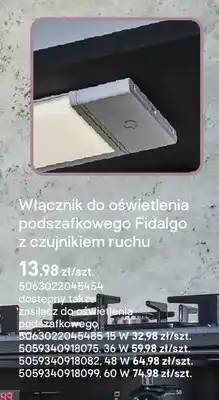 Castorama Zasilacz do oświetlenia podszafkowego Fidalgo 15W oferta