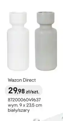 Castorama Wazon Direct wym. 9x23,5cm biały oferta