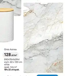 Castorama Gres Astrea white 60x120cm oferta