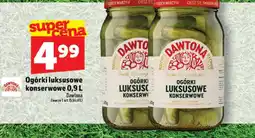 Topaz Ogórki konserwowe Dawtona oferta