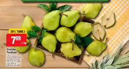 Polomarket Gruszka Packham oferta