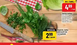 Polomarket Sałata lodowa oferta