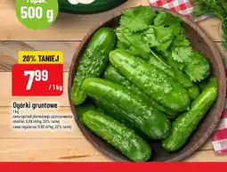 Polomarket Ogórki gruntowe oferta