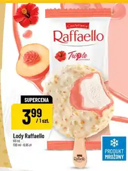 Polomarket Raffaello Lody oferta