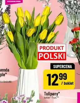 Polomarket Tulipany oferta