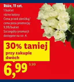 Lidl Róża oferta