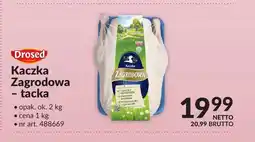 Makro Drosed Kaczka Zagrodowa - tacka oferta