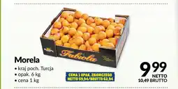 Makro Fabiola Morela oferta
