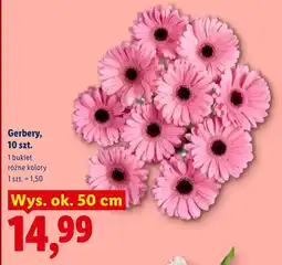 Lidl Bukiet Ok oferta