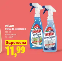 Lidl Spray do czyszczenia Meglio oferta