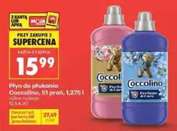 Biedronka COCCOLINO oferta
