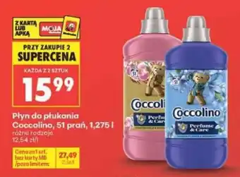 Biedronka COCCOLINO oferta