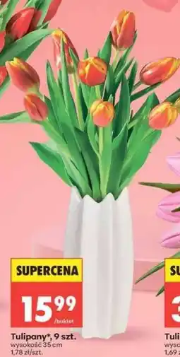 Biedronka Tulipany , 9 szt oferta