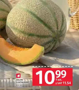 Selgros Melon cantaloupe oferta