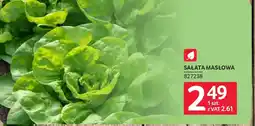 Selgros Sałata masłowa oferta