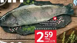 Selgros Pstrąg tęczowy oferta