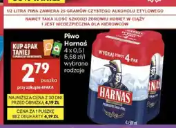 Delikatesy Centrum Piwo Harnaś 4-pak oferta