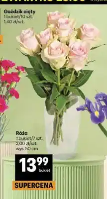 Delikatesy Centrum Róża wys. 50cm oferta