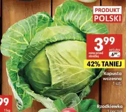 Delikatesy Centrum Kapusta wczesna oferta