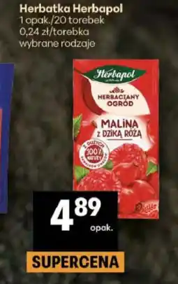 Delikatesy Centrum Herbatka Herbapol 1 opak./20 torebek wybrane rodzaje oferta