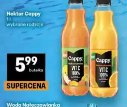 Delikatesy Centrum Nektar Cappy oferta