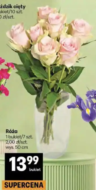 Delikatesy Centrum Róża oferta