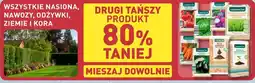 ALDI WSZYSTKIE NASIONA, NAWOZY, ODŻYWKI, ZIEMIE I KORA oferta