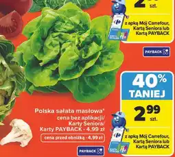 Carrefour Market Polska sałata masłowa oferta