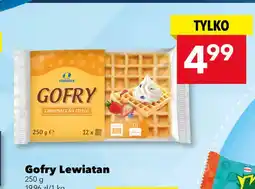 Lewiatan Gofry Lewiatan oferta