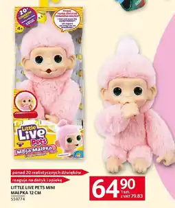 Selgros Little Live Pets Mini Małpka oferta
