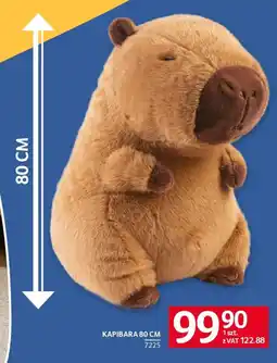 Selgros Kapibara oferta