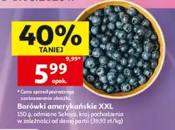 Auchan Borówki amerykańskie XXL odmiana Sekoya oferta