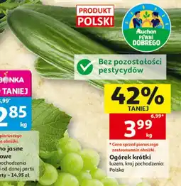Auchan Ogórek krótki bez pozostałości pestycydów polski oferta