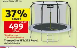 Auchan Trampolina 8FT/252 Rebel siatka i drabinka oferta