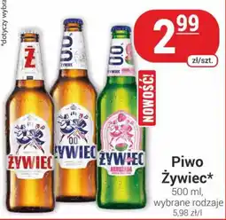 Delikatesy Sezam Żywiec Piwo oferta