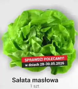 Delikatesy Sezam Sałata masłowa oferta