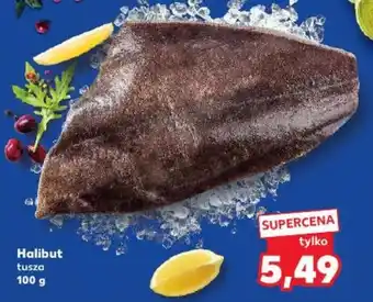 Halibut tusza