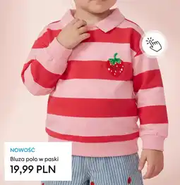 Sinsay Bluza polo w paski oferta