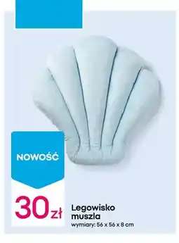 Pepco Legowisko muszla 56x56x8cm oferta