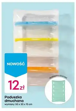Pepco Poduszka dmuchana 50x30x15cm oferta