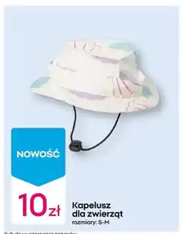 Pepco Kapelusz dla zwierząt S-M oferta