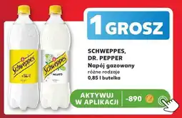 Kaufland Napój gazowany Schweppes Indian Tonic oferta